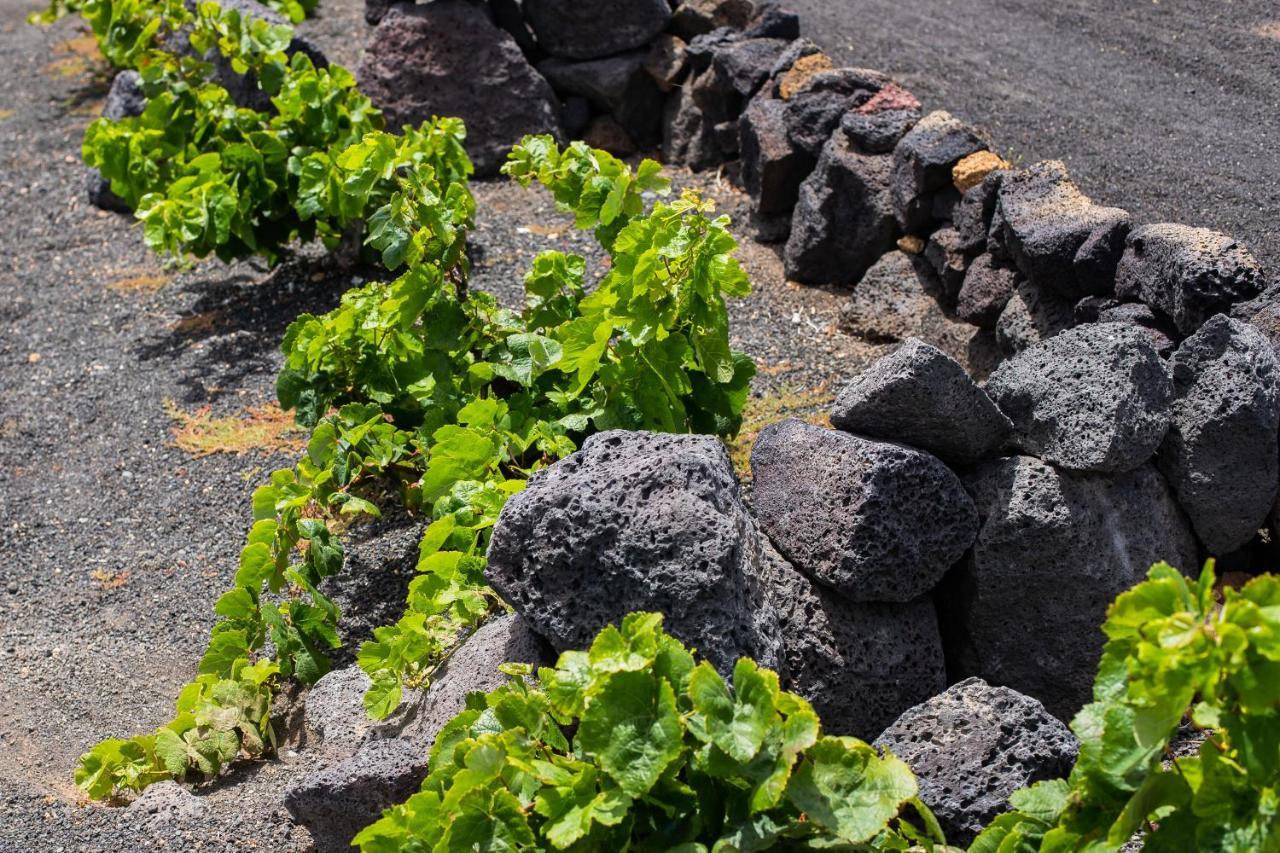 Готель Eslanzarote Eco Dome Experience Теґісе Екстер'єр фото